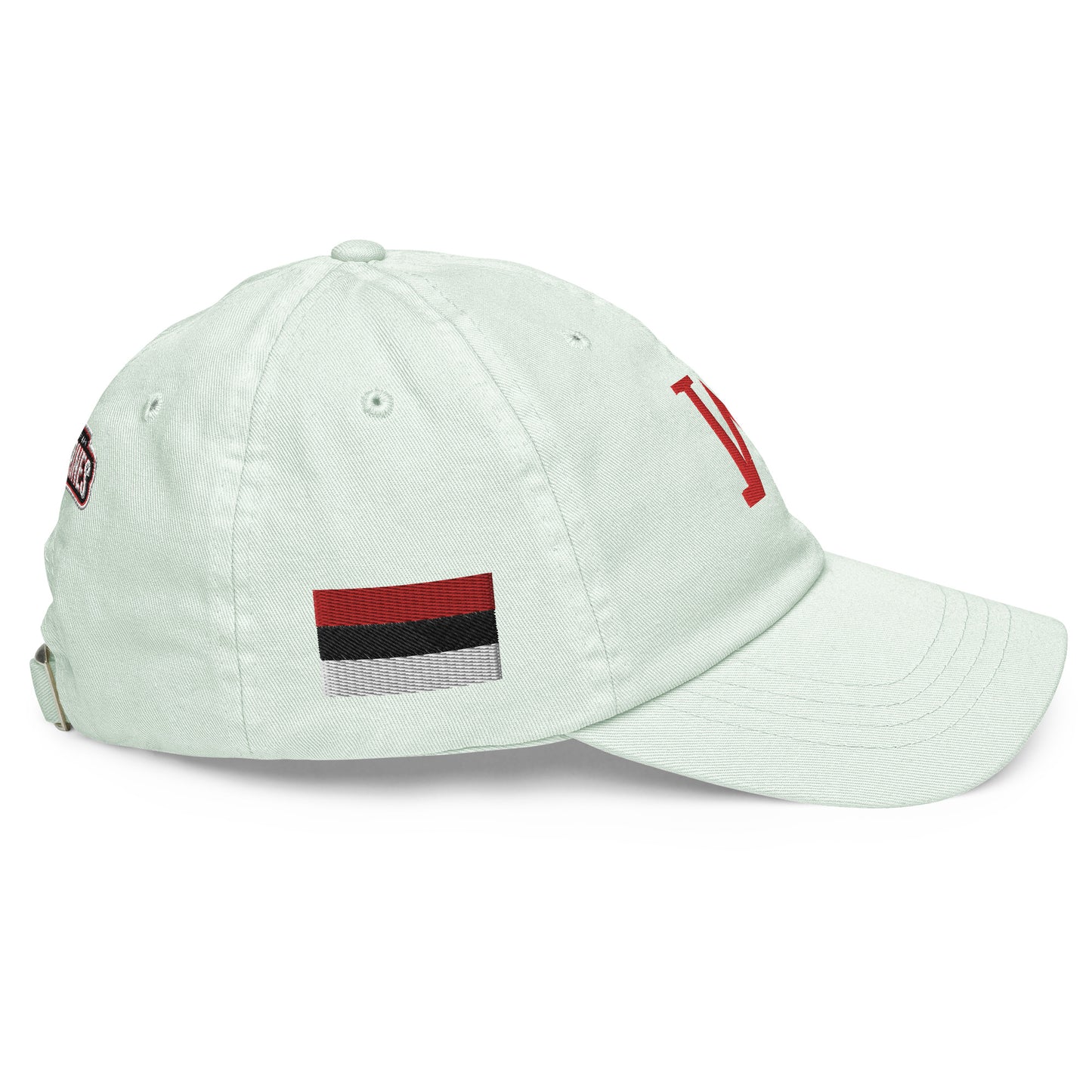 JRA "W" Pastel baseball hat Juan Rico Academy