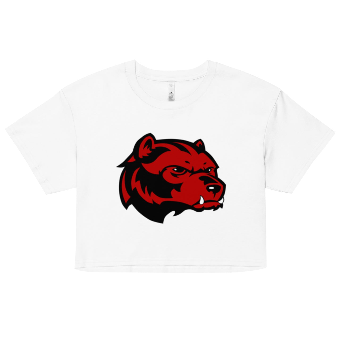 Juan Rico Academy Women’s crop top