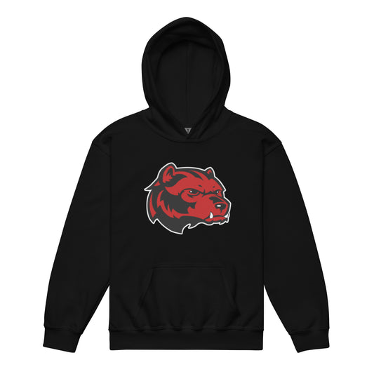Juan Rico Academy Sample Youth heavy blend hoodie