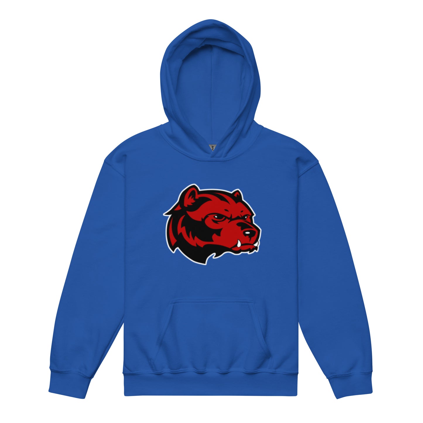 Juan Rico Academy Sample Youth heavy blend hoodie